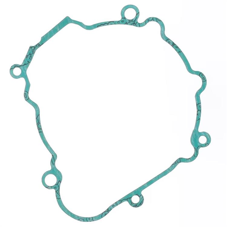 Guarnizione Beta RR 250 (14-19) generatore