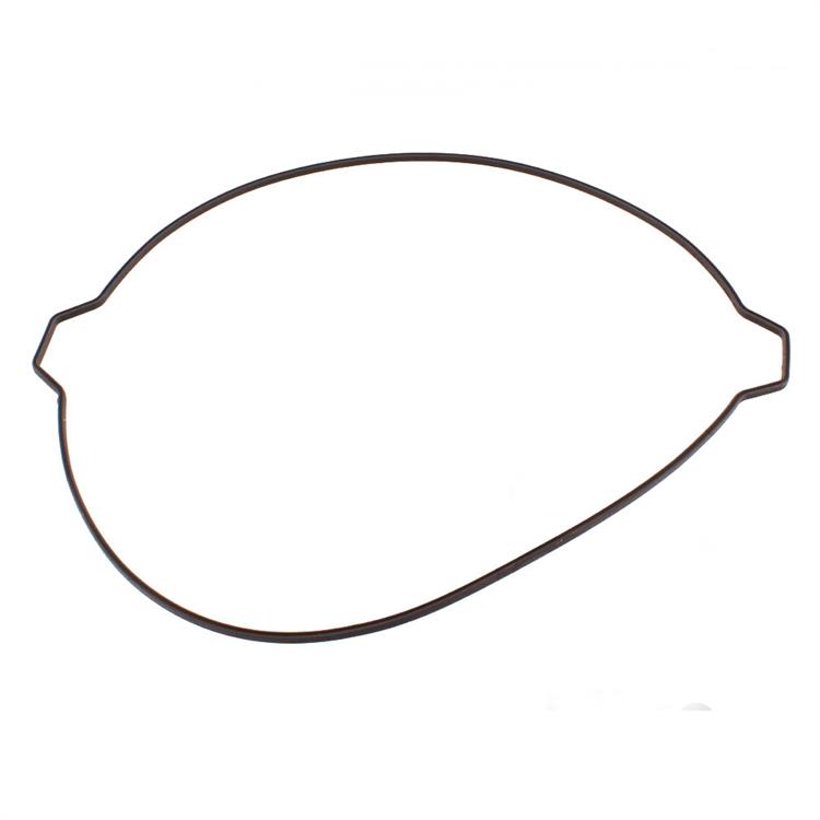 Guarnizione Gasgas 300 EC (2021-2023) frizione esterna