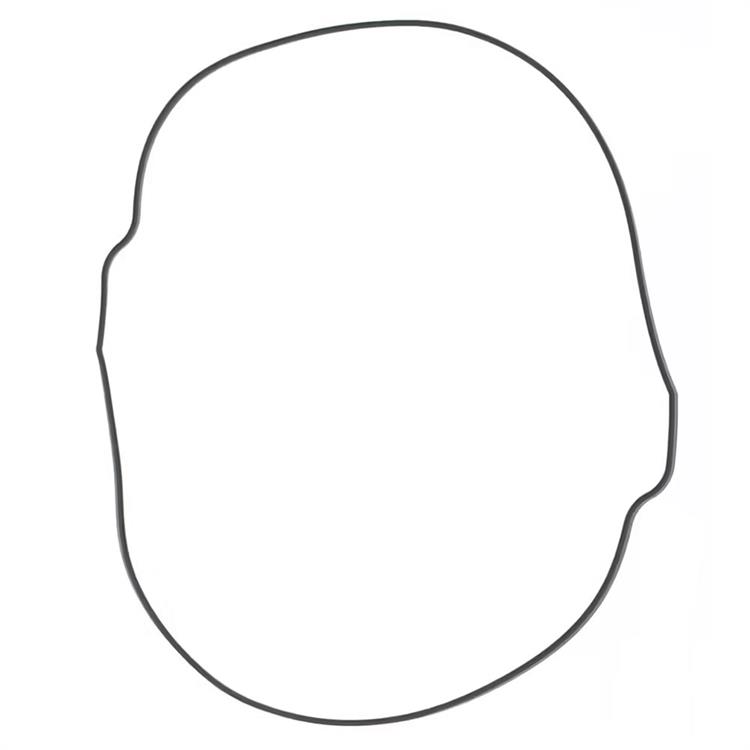 Guarnizione Husqvarna 350 FC (2014-2015) frizione esterna