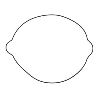 guarnizione ktm 250 exc 04 16 frizione esterna