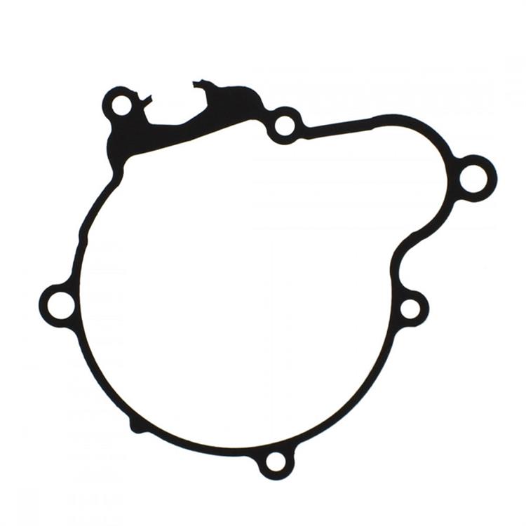 Guarnizione KTM 300 EXC (08-15) generatore