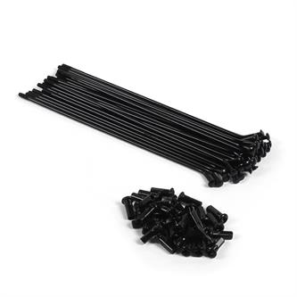 kit 32 raggi ruota 17 anteriori pit bike neri