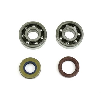 kit cuscinetti e paraolii albero skf am6