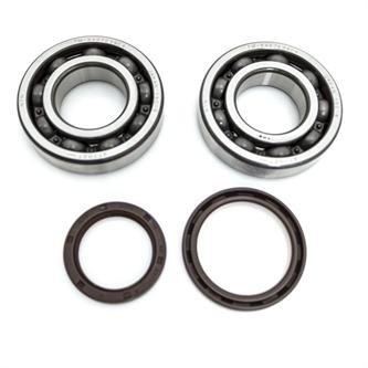 kit cuscinetti e paraolio albero beta rr 400 2010 2014