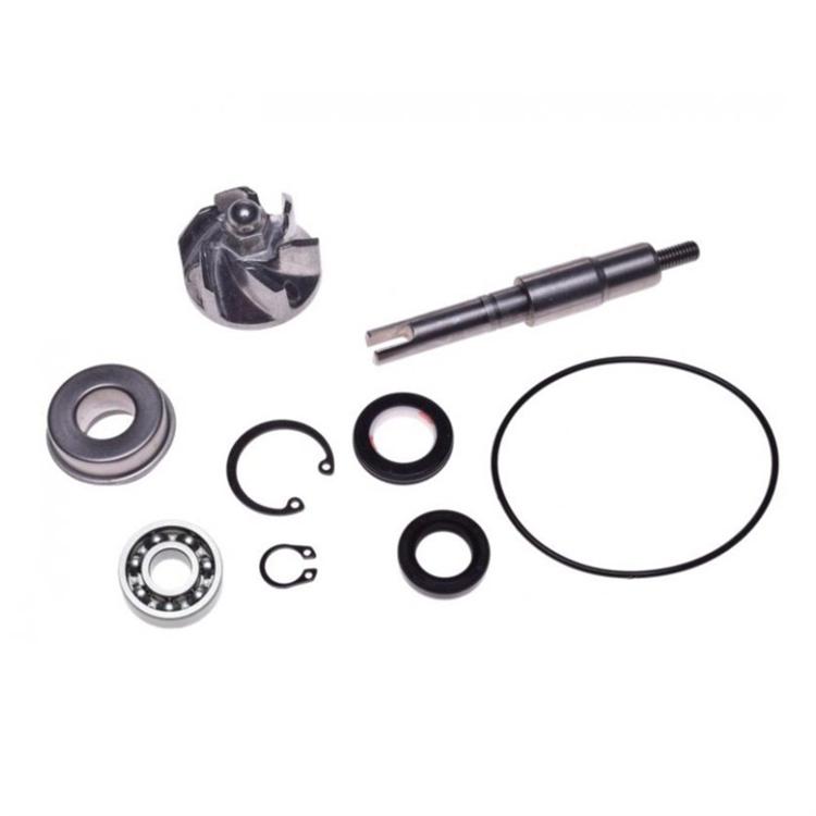 Kit revisione pompa acqua Honda SH 125 I (2005-2012)