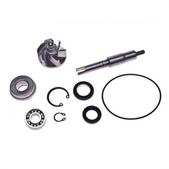 kit revisione pompa acqua honda sh 150 2001 2004