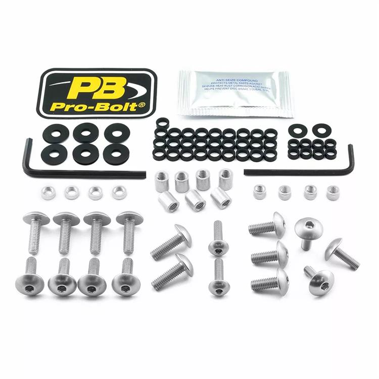 Kit viti carena Suzuki GSX 1300 R ABS Hayabusa (2013-2015) ergal Argento Pro Bolt
