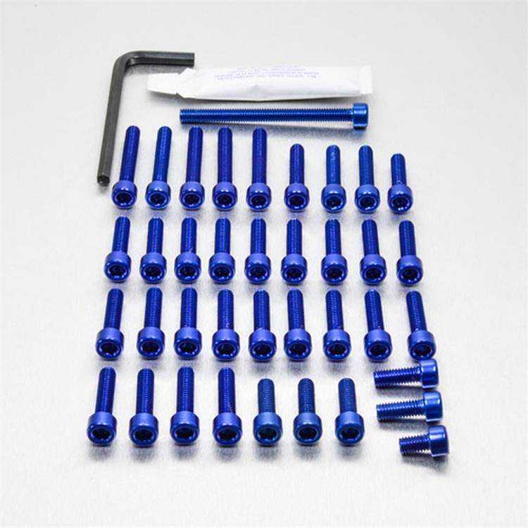 Kit viti motore Kawasaki Ninja 650 ABS Tourer (2019-2024) ergal Blu Pro Bolt