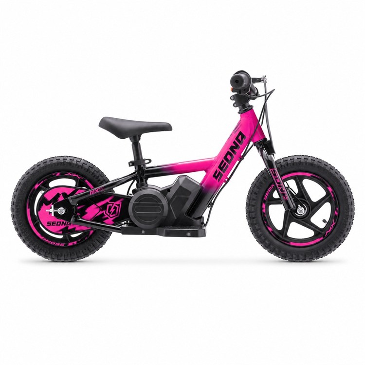 Mini e-bike 100W 12