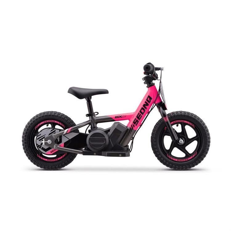 Mini e-bike 100W 12