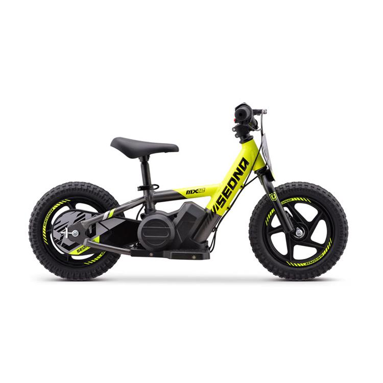 Mini e-bike 100W 12