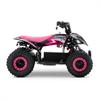 Miniquad elettrico 800 Watt Hiro Cobra 6
