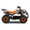 Miniquad elettrico 800 Watt Hiro Tiger 6