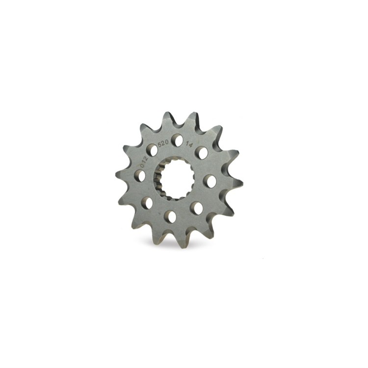 Pignone Moto Master Fantic 300 XE (2024-2025) 15 denti scaricato