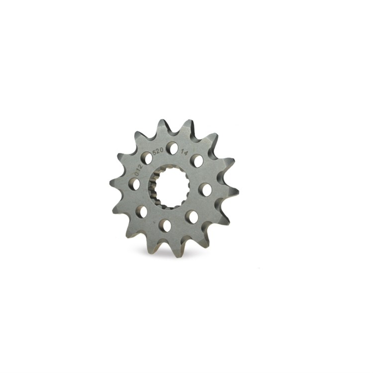 Pignone Moto Master Gasgas 300 EC (2000-2020) 13 denti scaricato