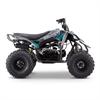 Quad 125 cc Odjar Predator in Miniquad