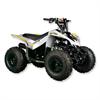 Quad 125 cc Trailmax 3 marce + R 8