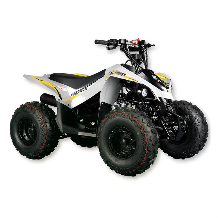 Quad 125 cc Trailmax 3 marce + R 8