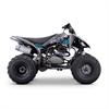 Quad 250 cc Odjar Predator [per adultii] in Miniquad