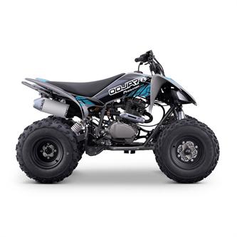 quad 250 cc odjar predator per adultii
