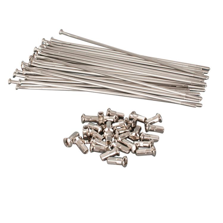 Set raggi ruota Gasgas 350 MC-F (2022-2026) posteriore 19 pollici